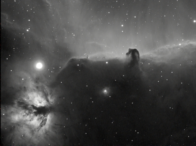 Nebulosa NGC 2024 + IC 434